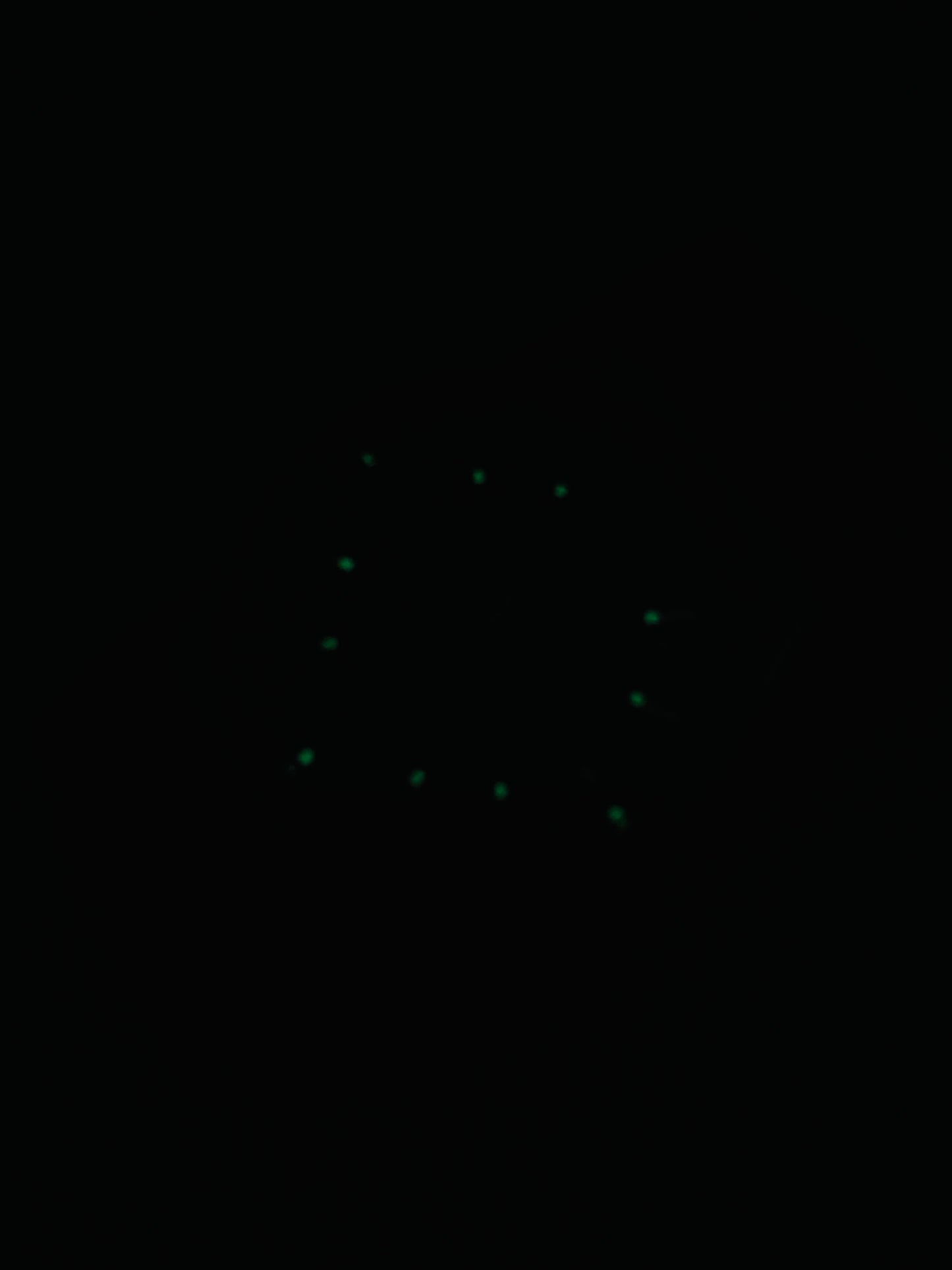 Orphela Original Lot Import Watch Mens 42mm Quartz