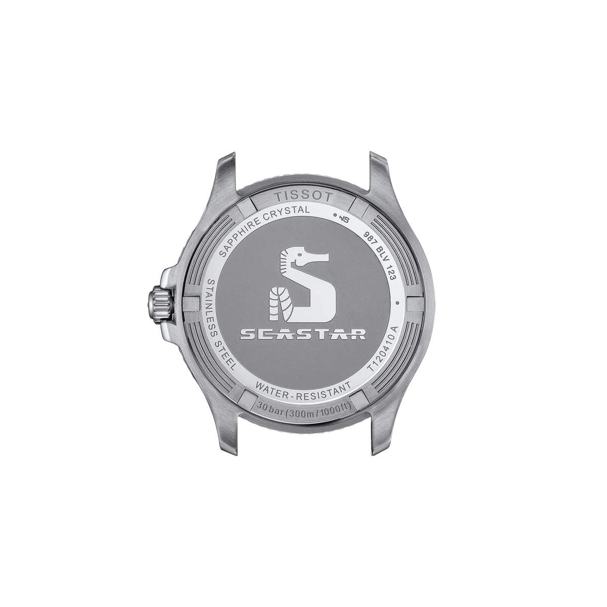 Tissot Seastar 1000 Silver Stainless Steel Blue Dial Quartz Watch for Gents - T120.410.11.041.00